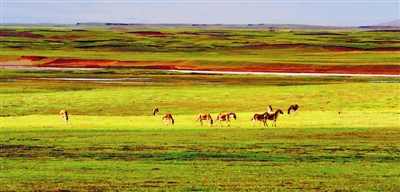 1026894_038515.jpg 1026894_038515.jpg