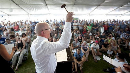 悉尼烂屋60个买家排队抢 悉尼烂屋60个买家排队抢