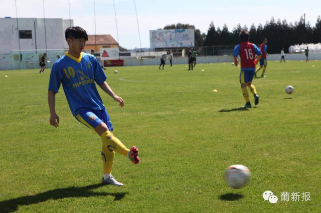 ���ǻ��𡱺���������Ŀ������ѵ�������Ի�����