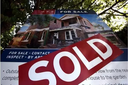 全澳百万城区613个 环比上升29%.jpg 3.jpg