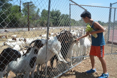 ���������һҳ