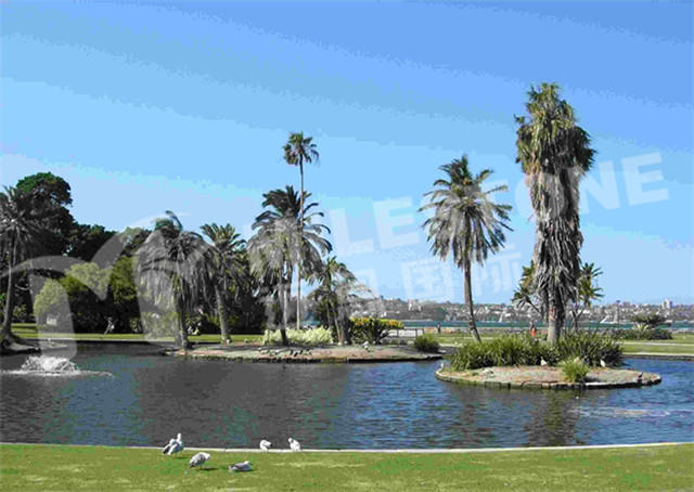 ����Ϥ���˿ڽ���500�� �˿�����Ӱ�췿������ 