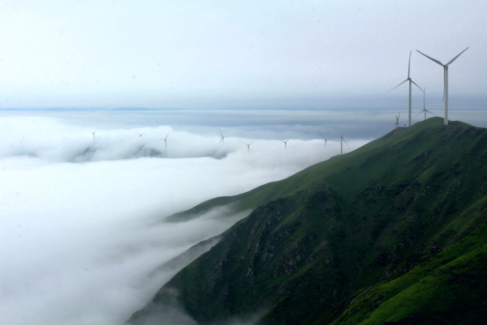 ������һƬ��ƣ�Լ��