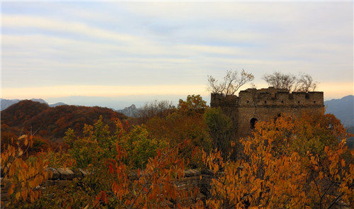 ����10��23������ı�������Ľ����������ɫ