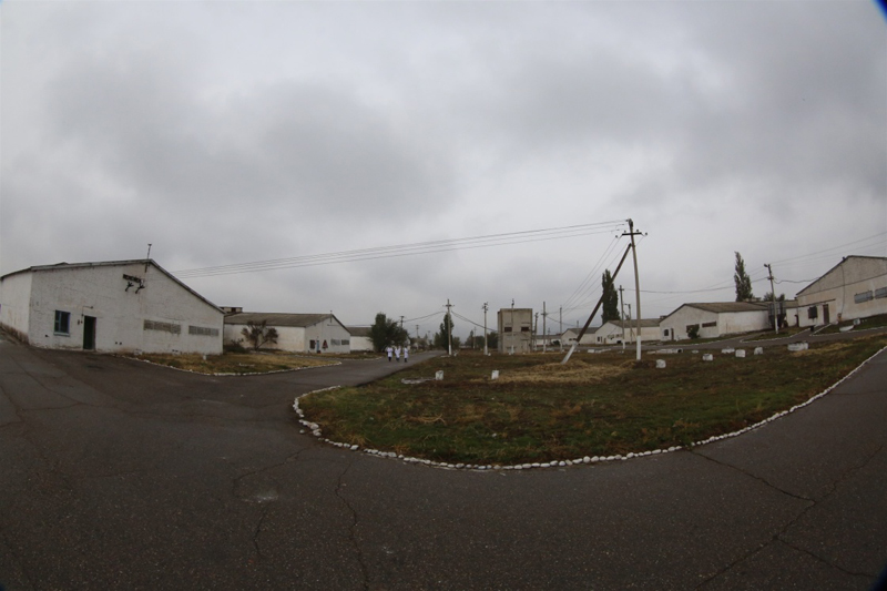 ����10��27���ڡ�����֮�ǡ�ũҵ��ҵ������������ļ�������