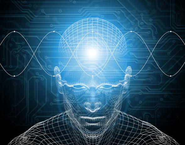 �ȸ裺2029�꣬�������ӵ���������൱������ˮƽ