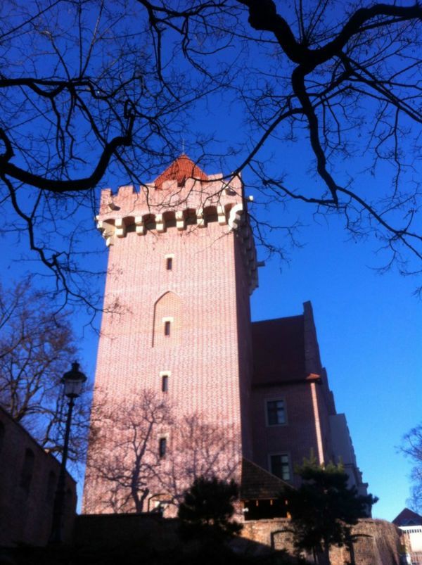 ����С�ǲ�����