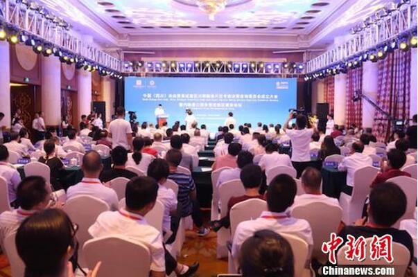 四川自贸区川南临港片区成立专家决策咨询委员会 四川自贸区川南临港片区成立专家决策咨询委员会