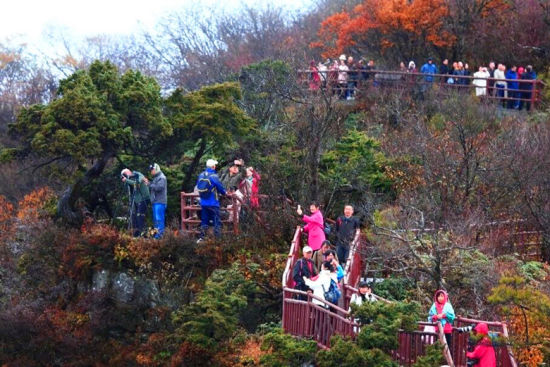 ͼΪ����ɽ��Ҷ�����˷����ˡ��������ù�