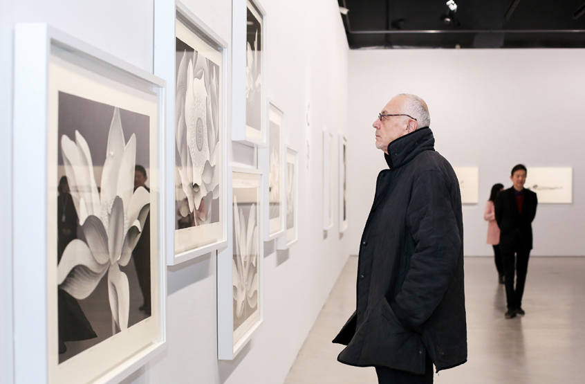 “陈琦格致:一个展示和理解的实验”在南京德基美术馆隆重开幕 “陈琦格致:一个展示和理解的实验”在南京德基美术馆隆重开幕