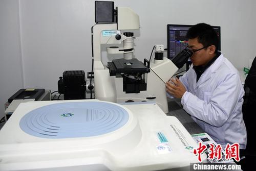 ���������һҳ