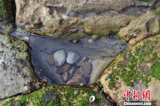 2018�����Ʒ��С���ʵ����������ͼƬ ��