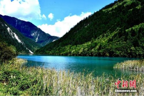 ���������һҳ