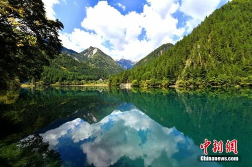 ���������һҳ