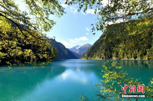 ���������һҳ