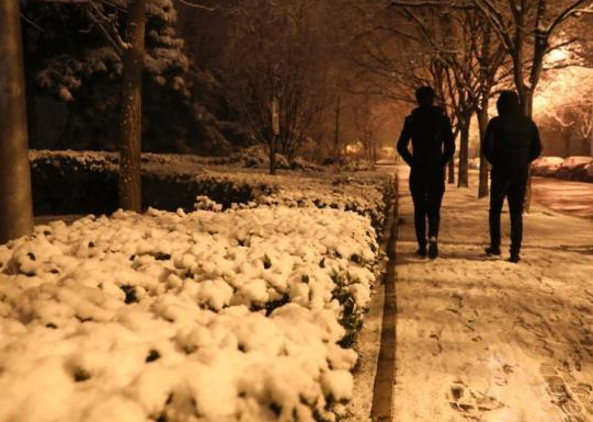 ����ӭ��2020�׳�ѩ