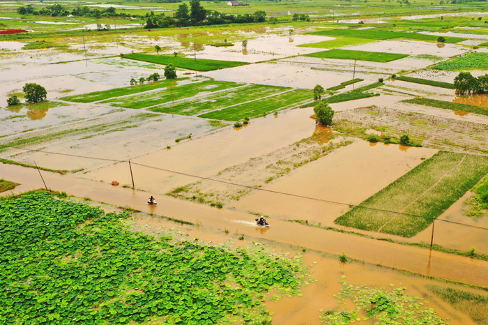 ���������һҳ