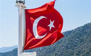 OIP (2).jpg OIP (2).jpg