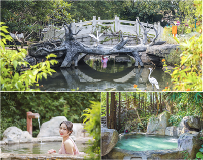 “水”是香港人长寿主因之一?_河源万绿湖:健康长寿源泉 “水”是香港人长寿主因之一?_河源万绿湖:健康长寿源泉