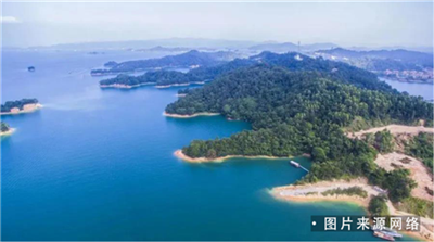 “水”是香港人长寿主因之一?_河源万绿湖:健康长寿源泉 “水”是香港人长寿主因之一?_河源万绿湖:健康长寿源泉