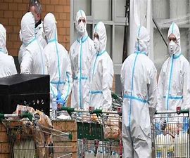 OIP (8).jpg OIP (8).jpg