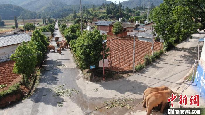 zgzged-b7d7-44bb-9696-75b7df77b49c_zsite.jpeg zgzged-b7d7-44bb-9696-75b7df77b49c_zsite.jpeg