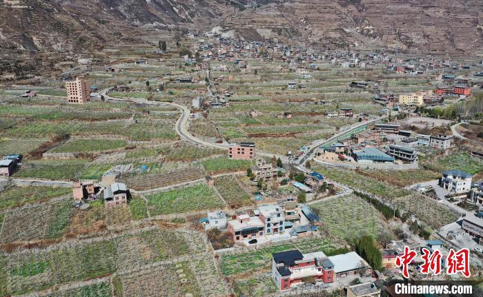 洁白的李花与村寨交相辉映,勾勒出一幅美丽的和谐生态画卷。 何清海 摄 洁白的李花与村寨交相辉映,勾勒出一幅美丽的和谐生态画卷。 何清海 摄