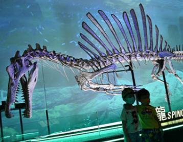 xgxg4T8D9870512F19930DT20221011094209.jpg xgxg4T8D9870512F19930DT20221011094209.jpg