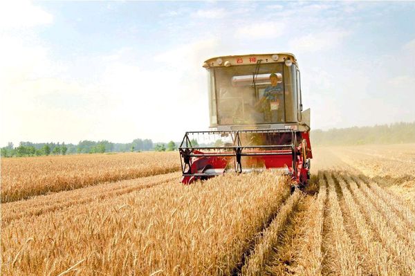 lslssssssdddffgghhhh2087515_600x600.jpg lslssssssdddffgghhhh2087515_600x600.jpg