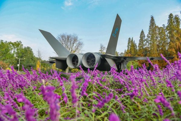 �ļ����򡤶����ƴ���