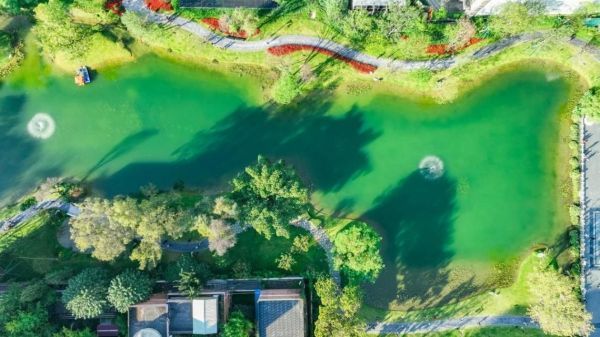 �ļ����򡤶����ƴ���