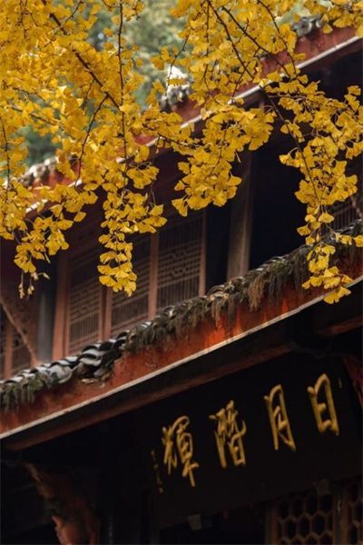 �ļ����򡤶����ƴ���