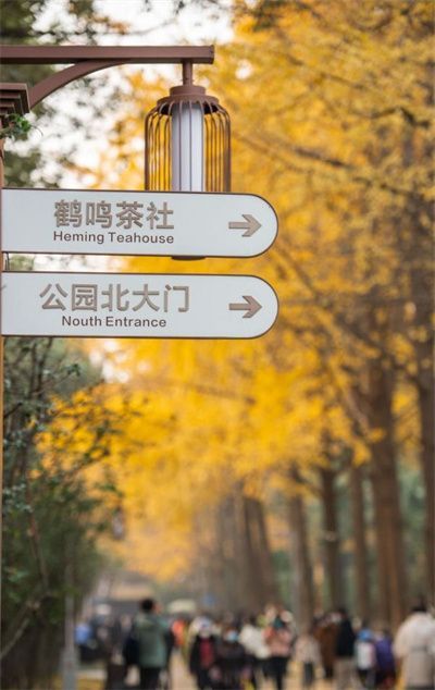 �ļ����򡤶����ƴ���