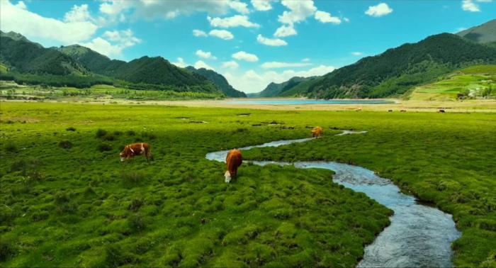 hnhnwcsmimg_3acb743bf8fc4418a5c7062f35e1a8aa.jpg hnhnwcsmimg_3acb743bf8fc4418a5c7062f35e1a8aa.jpg