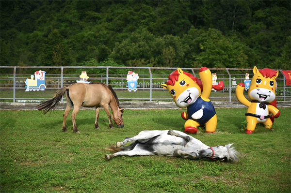 微信图片_20240704152655.jpg 微信图片_20240704152655.jpg