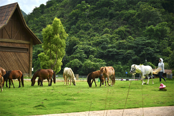 微信图片_20240704152714.jpg 微信图片_20240704152714.jpg