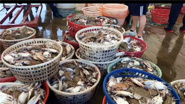 微信图片_20240805181435.jpg 微信图片_20240805181435.jpg